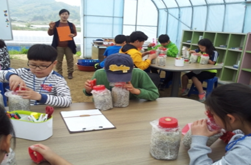용촌골버섯교육농장 이미지