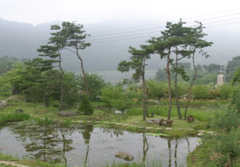 수생식물학습원 이미지