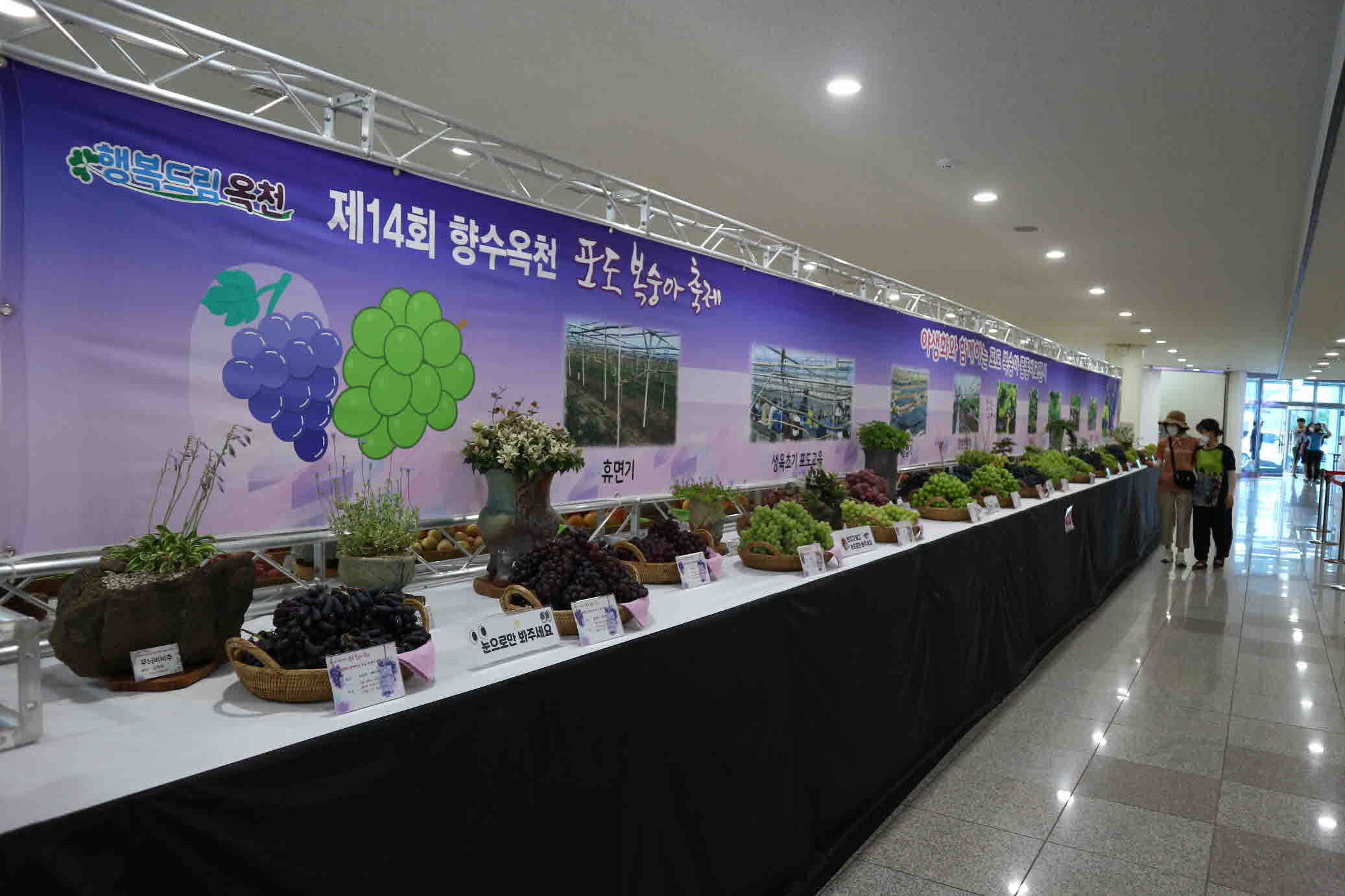 포도복숭아 품종비교 전시관（제14회）