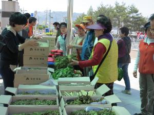 “고소한 옻순 맛 보세요” 옥천서 26~28일 ‘제12회 옥천참옻축제’ 이미지