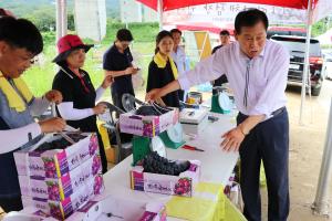 ‘제13회 향수옥천 포도·복숭아축제, 성황리에 막내려 이미지