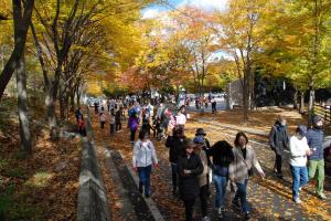 피톤치드 풍부한 ‘제3회 장령산 치유의 숲 건강걷기대회’ 26일 열린다. 이미지