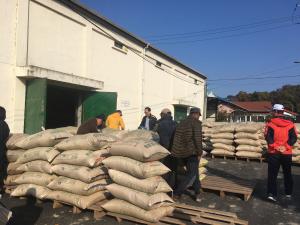 옥천군, 건조벼 공공비축미곡 매입 시작 이미지