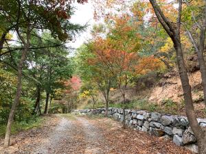 장령산 자연휴양림‘금산임도’ 테마임도 지정으로 우수성 인정받아 이미지