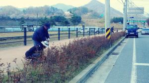 옥천군 봄 향기 가득한 가로화단 조성으로 지역분위기 환기 이미지