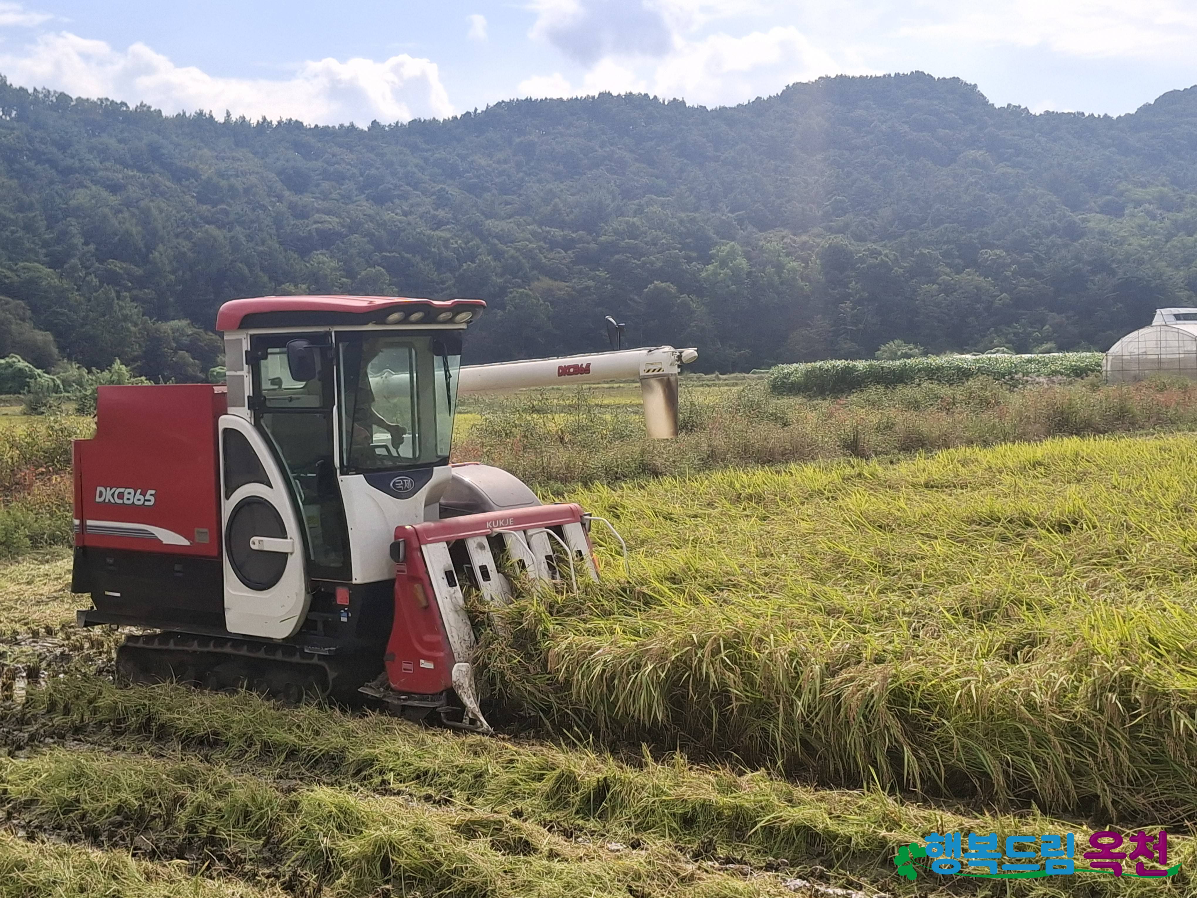 옥천군, 영농 취약계층 농작업 부담 해소에‘앞장’ 사진