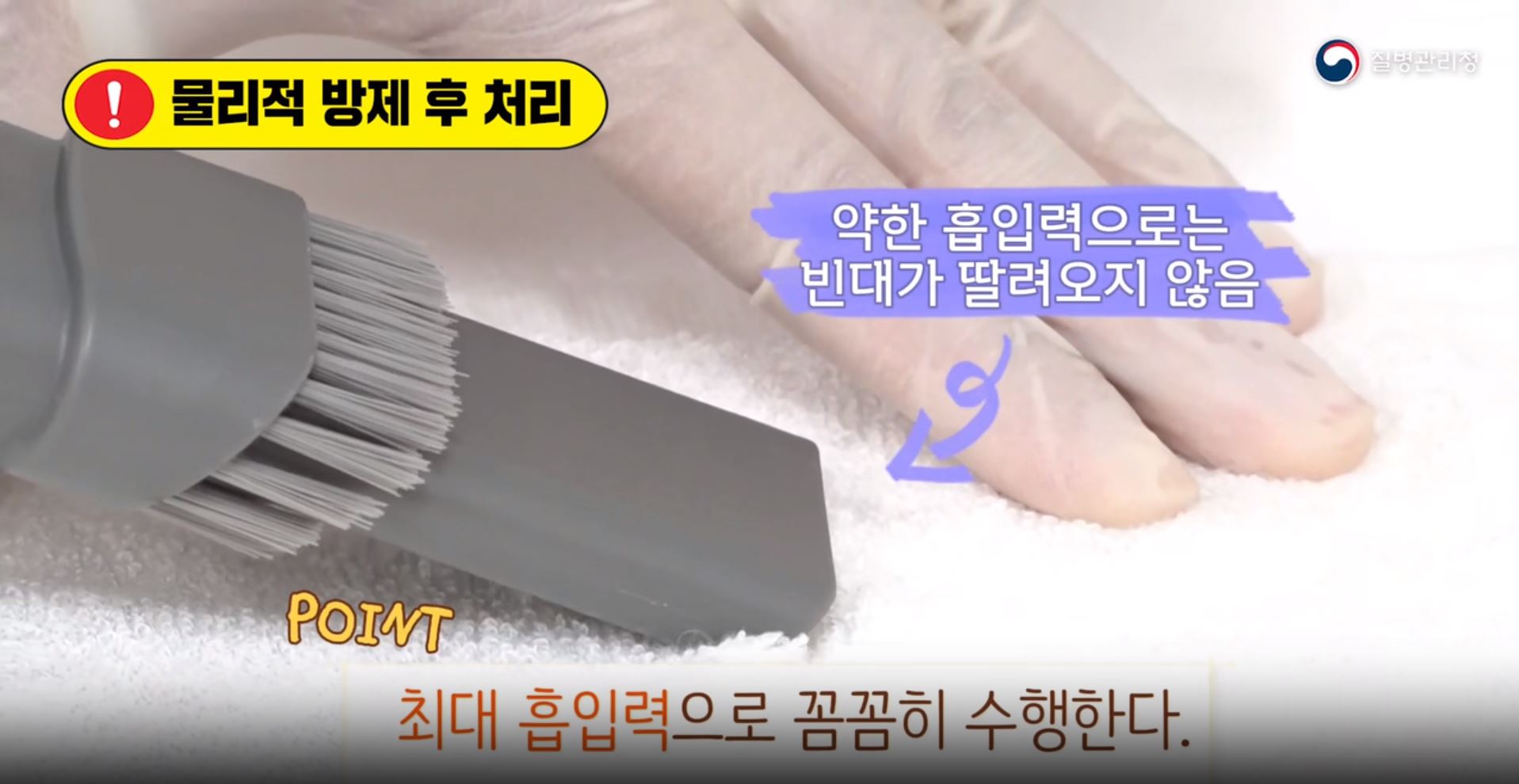 생활 속 빈대 대처방안의 이미지