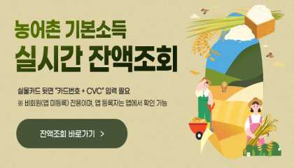농어촌 기본소득 실시간 잔액조회