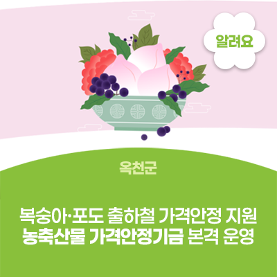 옥천군, 복숭아·포도 출하철 가격안정 지원..농축산물 가격안정기금 본격 운영 사진