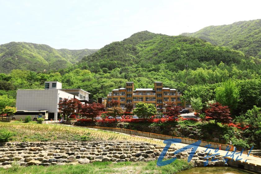 장령산자연휴양림（옥천5경）2