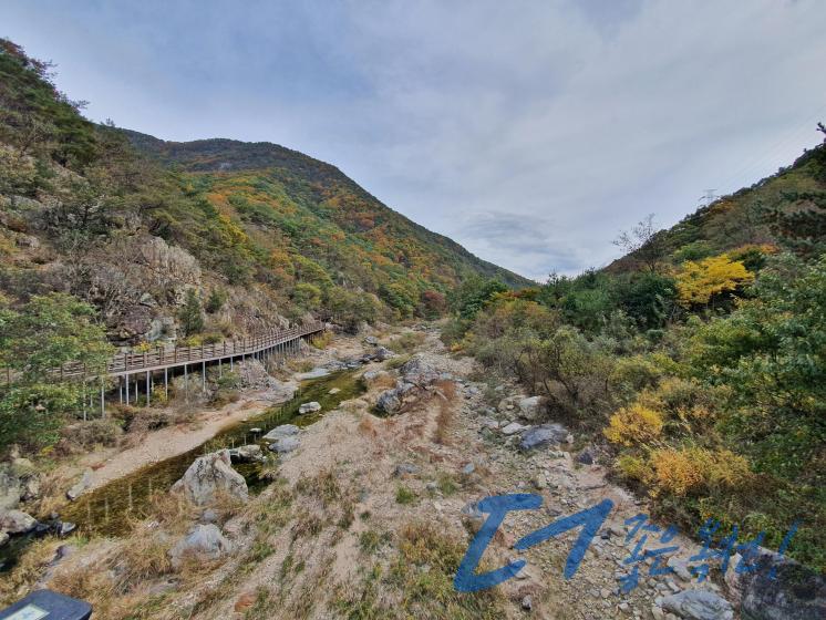 장령산자연휴양림（옥천5경）3