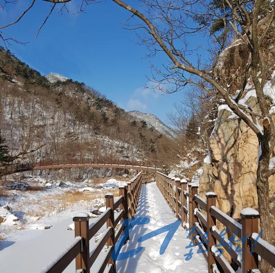 장령산자연휴양림（옥천5경）4