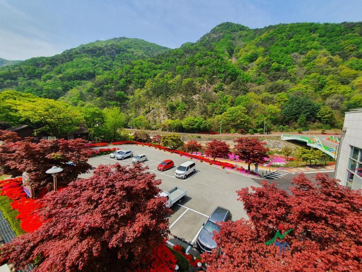 장령산휴양림1