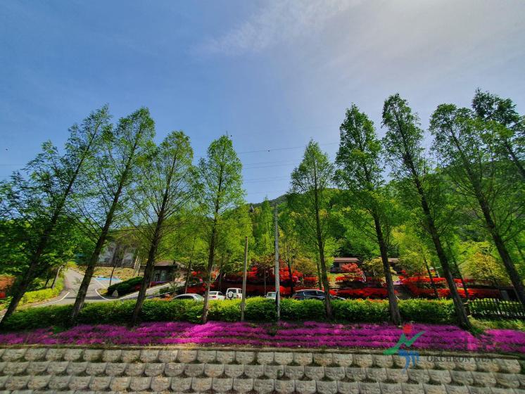 장령산휴양림3