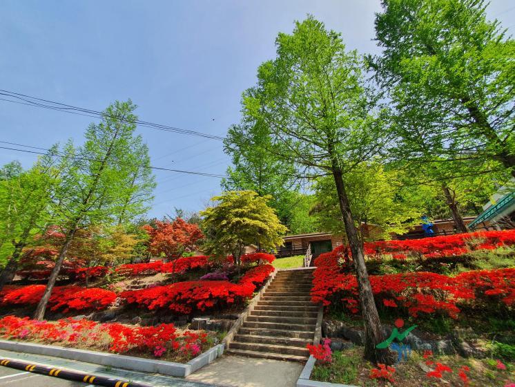 장령산휴양림5