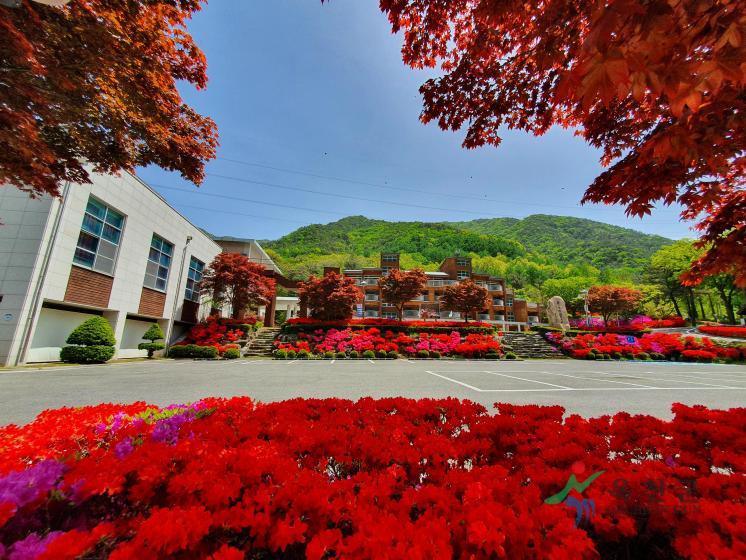 장령산휴양림6
