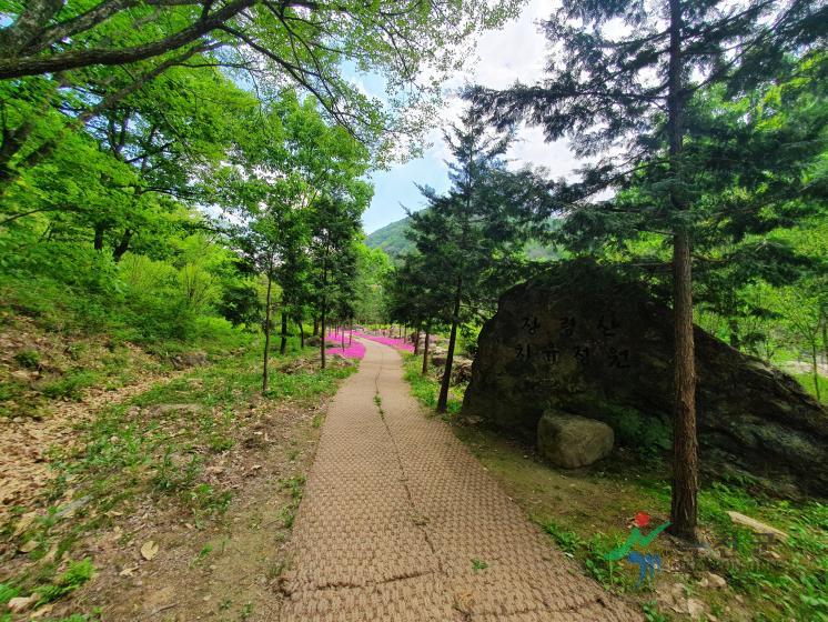 장령산휴양림7