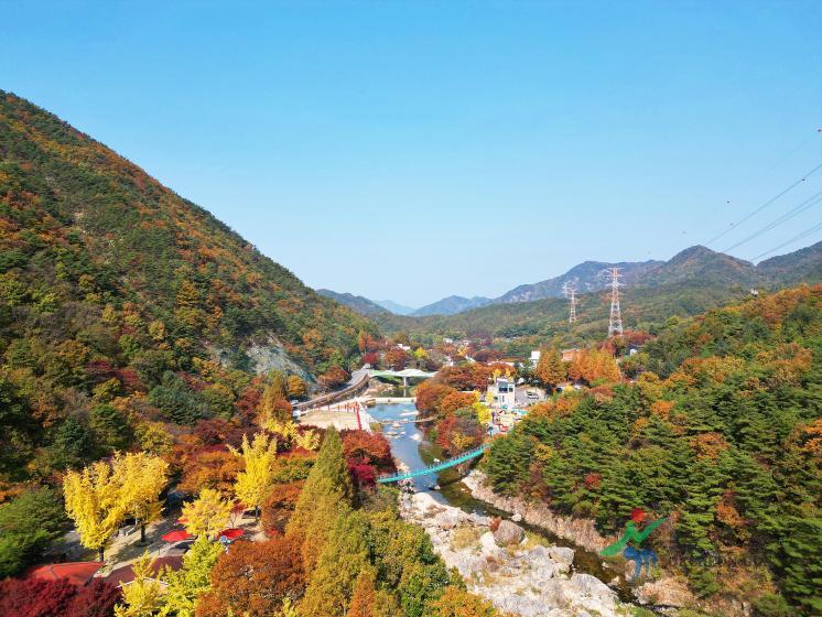 장령산휴양림11