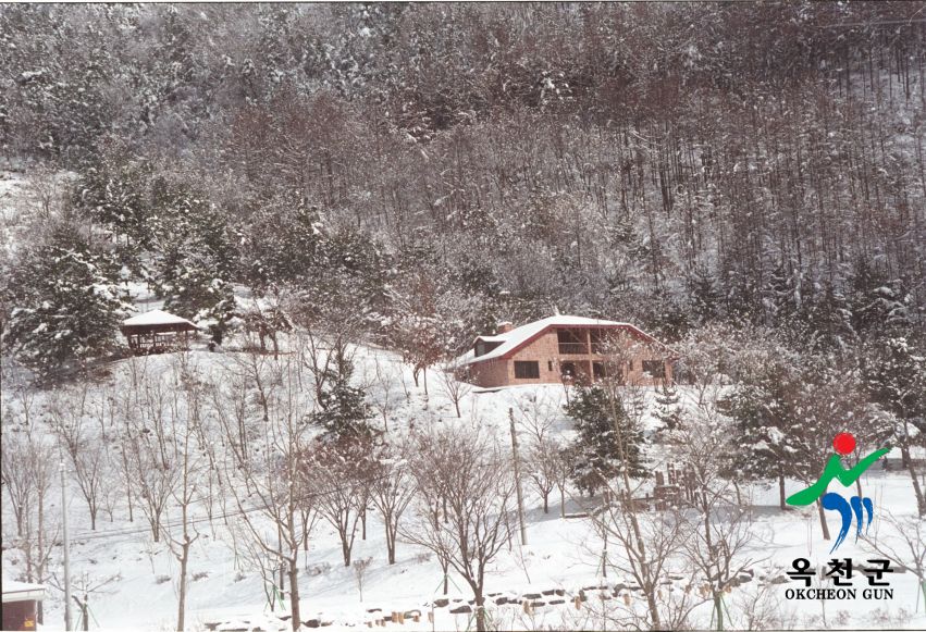 장용산설경1