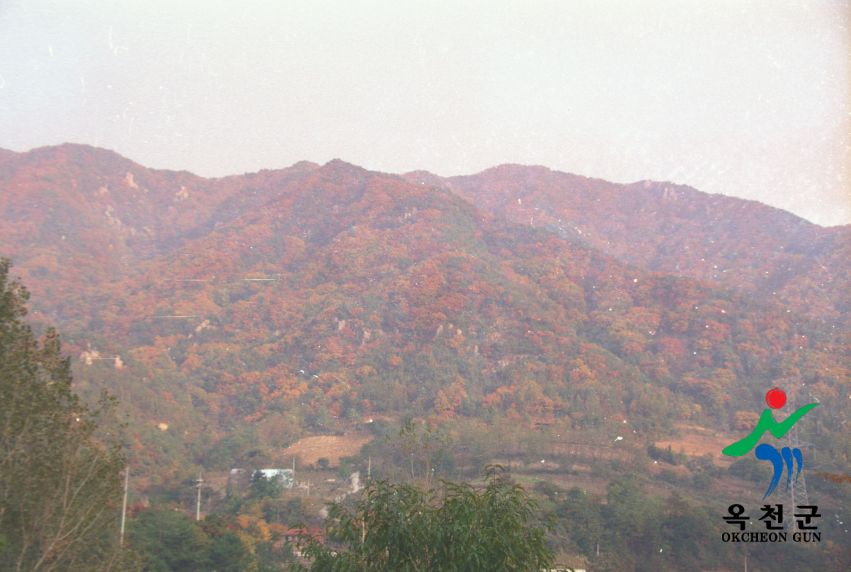 장용산 휴양림5