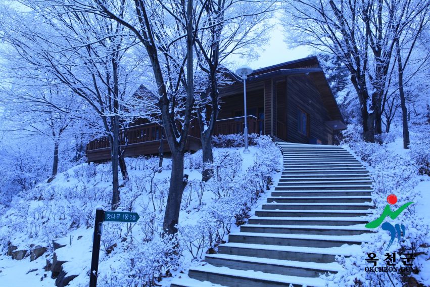 장령산 자연 휴양림 설경2