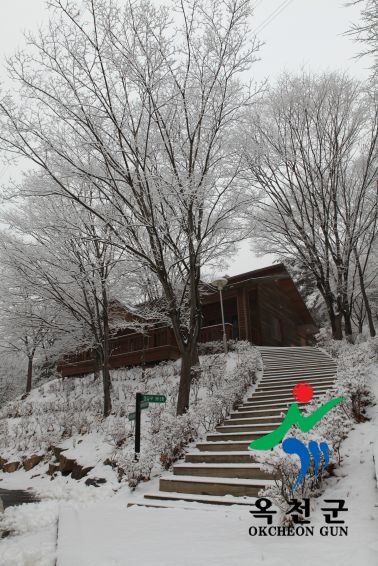 장령산 자연 휴양림 설경12