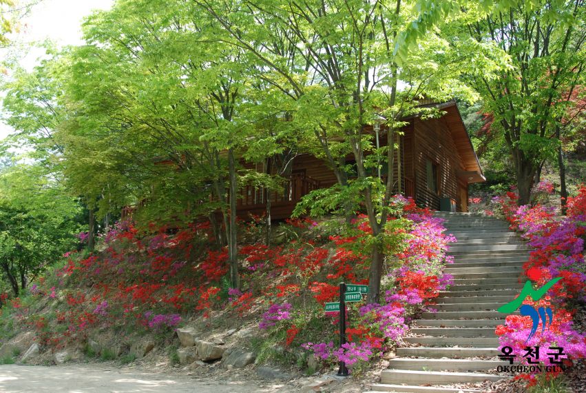 옥천군 명소사진 22 번째 사진