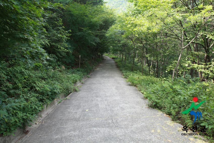장령산휴양림6