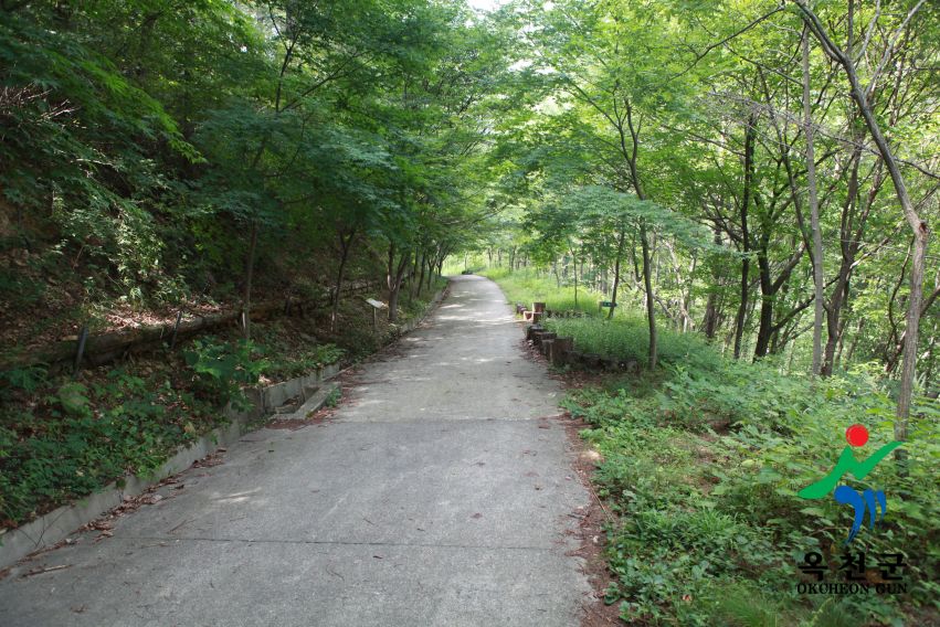 장령산휴양림7