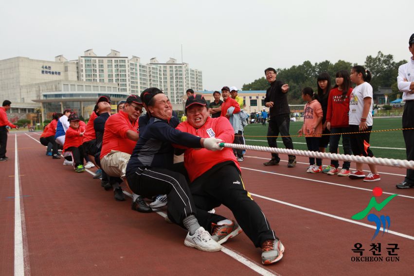 제37회 옥천군민체육대회100