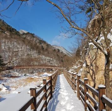 장령산자연휴양림（옥천5경）