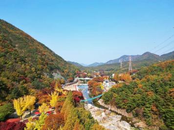 장령산휴양림
