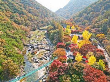 장령산휴양림