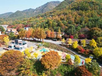 장령산휴양림