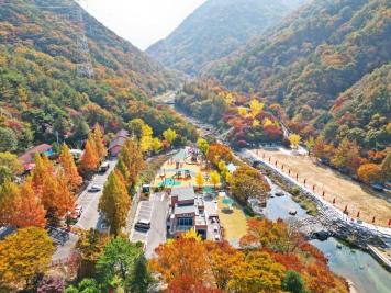 장령산휴양림