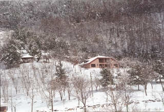 장용산설경