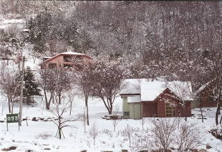 장용산설경