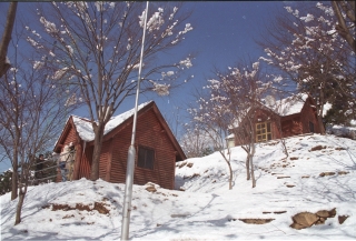 장용산설경