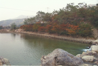 장용산 휴양림