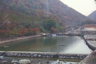 장용산 휴양림