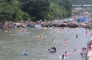 2005년 장용산 휴양림