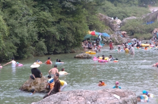 2005년 장용산 휴양림