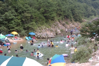 2005년 장용산 휴양림