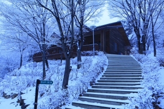 장령산 자연 휴양림 설경