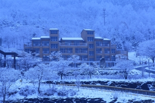 장령산 자연 휴양림 설경