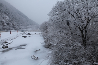 장령산 자연 휴양림 설경