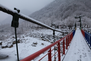 장령산 자연 휴양림 설경