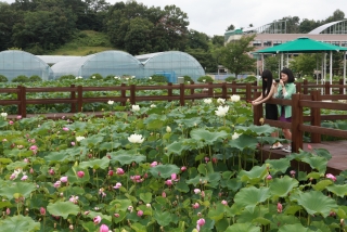 옥천군 명소사진 15번째 사진