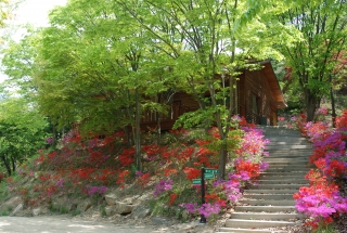 옥천군 명소사진 22번째 사진
