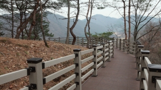 옥천군 명소사진 27번째 사진